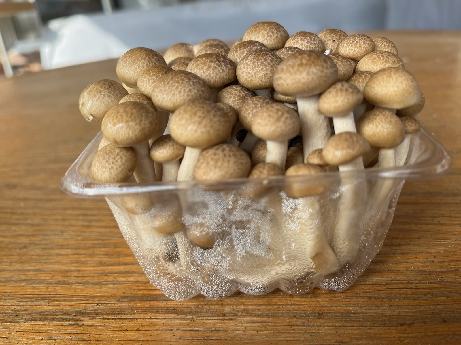 Mushrooms on growing racks