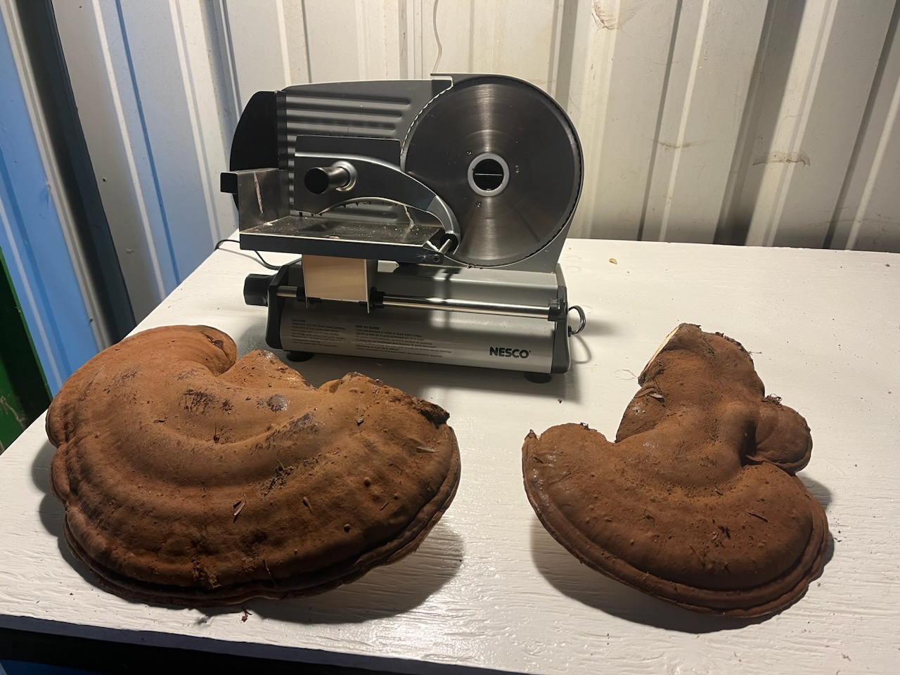 Growing equipment and humidifier